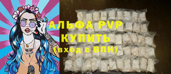 индика Володарск